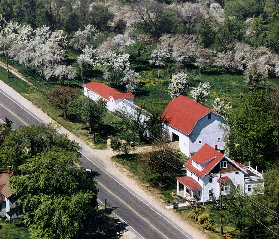  aerial view of orchard in bloom 